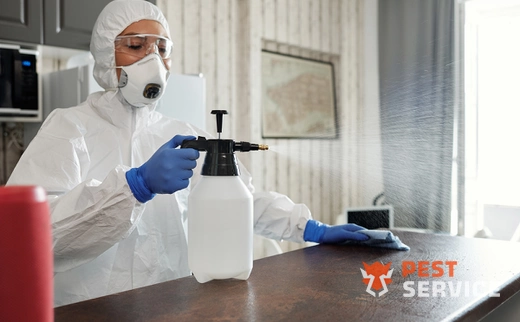 Дезинфекция в Электростали